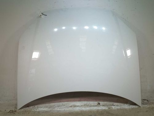 CAPO FIAT PALIO 1.4 2010