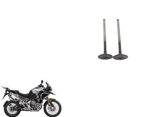 Válvula de Escape (par) Triumph Tiger 1200 Explorer 22-24