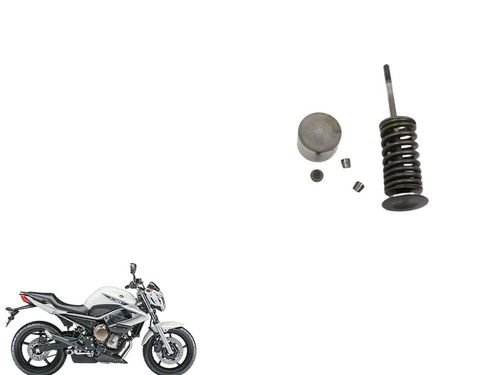 Válvula Admissão (kit) Xj6 2010 2019