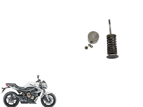 Válvula Admissão (kit) Xj6 2010 2019