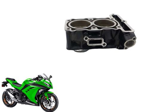 Cilindro Com Pistão e Anéis Ninja 300 2013 2018