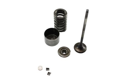 Kit Prato\Mola\Valvula Escape (Ex) Honda Cb 600 F Hornet 08-14