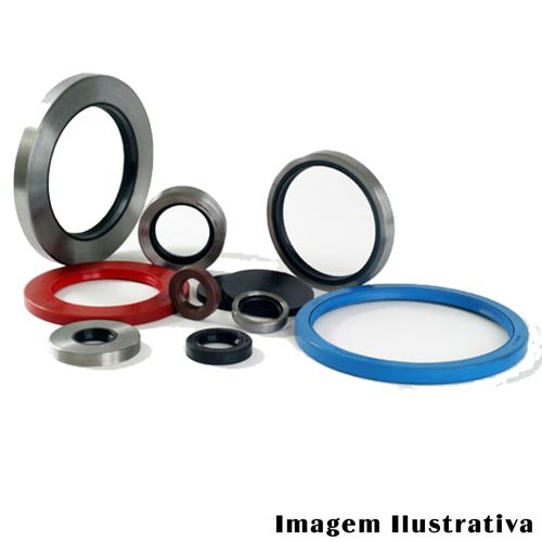 Retentor Comando Válvulas Fiat Prêmio 1985 a 1996 - 201349 - 2006BAG